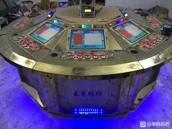 五星宏辉每天赢2000(五星宏辉每天赢五百)